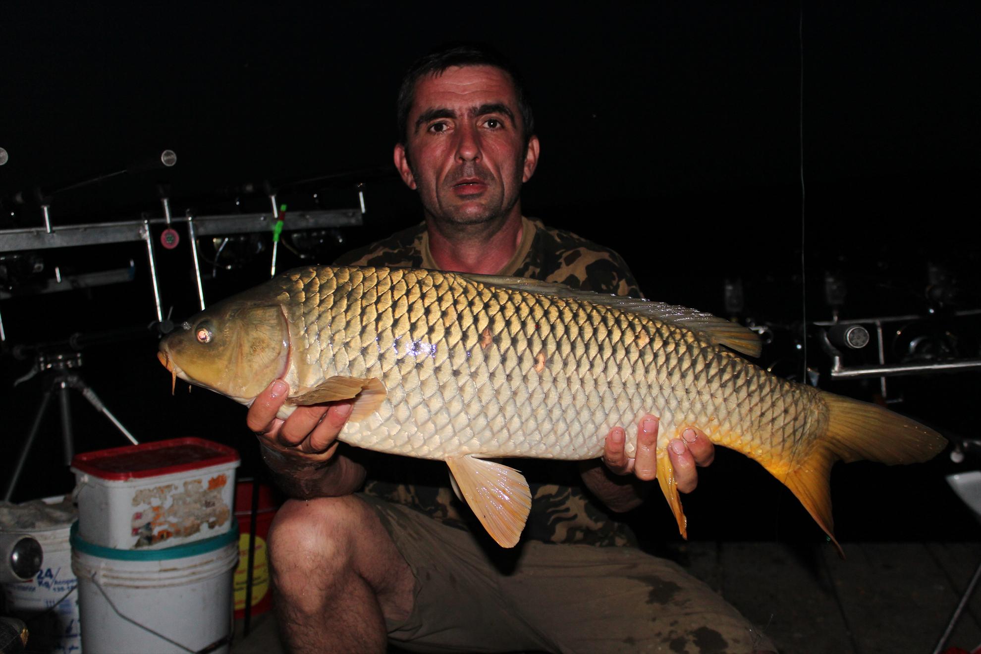 Capturi  2013 - Un sui naravas